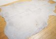 画像10: １頭分　牛ラグ　マット　カーペット　ハラコ　牛革　本革　毛皮　絨毯　天然素材　カウラグ　カウレザー　ブラウン