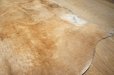 画像12: １頭分　牛ラグ　マット　カーペット　ハラコ　牛革　本革　毛皮　絨毯　天然素材　カウラグ　カウレザー　ブラウン