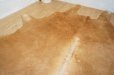 画像4: １頭分　牛ラグ　マット　カーペット　ハラコ　牛革　本革　毛皮　絨毯　天然素材　カウラグ　カウレザー　ブラウン