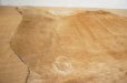 画像8: １頭分　牛ラグ　マット　カーペット　ハラコ　牛革　本革　毛皮　絨毯　天然素材　カウラグ　カウレザー　ブラウン