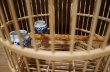 画像16: 【 美品 】　豪華逸品　中国美術　鳥籠　彫刻　鳥かご　竹ひご　小鳥　竹細工　中国伝統　工芸品 (16)